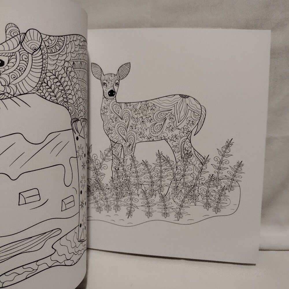3 Adult Coloring Book Set - Picture 16 of 16